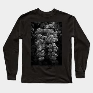 Backyard Flowers In Black And White 21 Long Sleeve T-Shirt